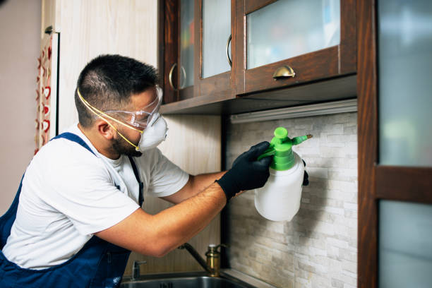Best Cockroach Control Services  in Middletown, CA