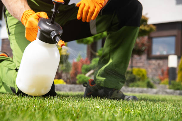 Trusted Middletown, CA Pest Control Experts