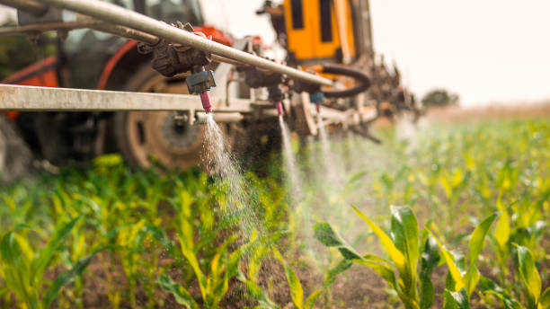 Best Pest Control for Homes  in Middletown, CA