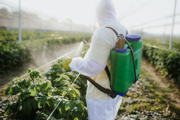 Best Mosquito Control Services  in Middletown, CA
